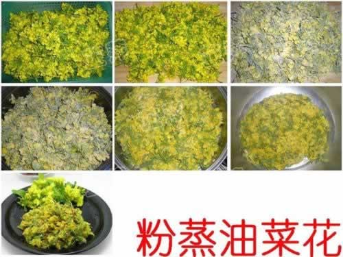 �����Ͳ˻�������