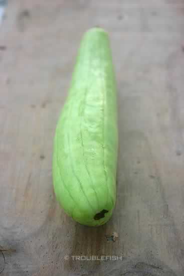 �׹Ϲ�������������