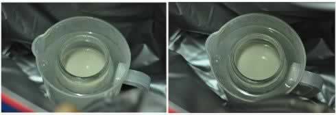 �ᶹ�������