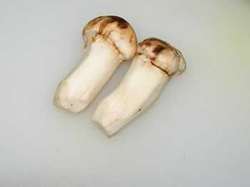 ���׶�����Ҷ�յ�����