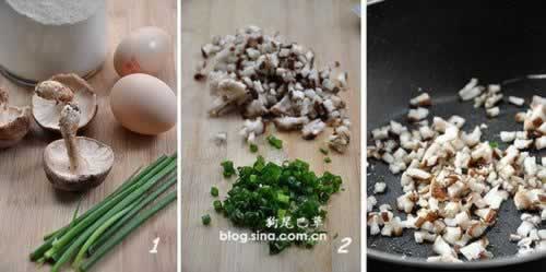 ����Ģ������������