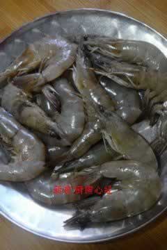 ����Ϻ������