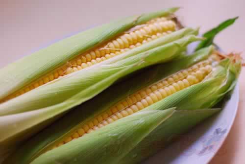 ����������������