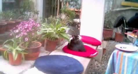 ���ȵ겻ֻ�Ǻȿ���! Ѱ���人�����������⿧�ȹ�