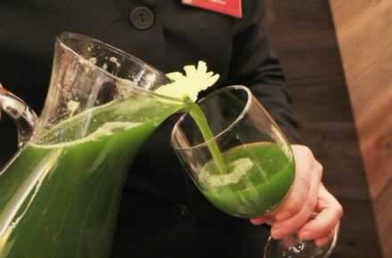 ����ָ�������� �����������