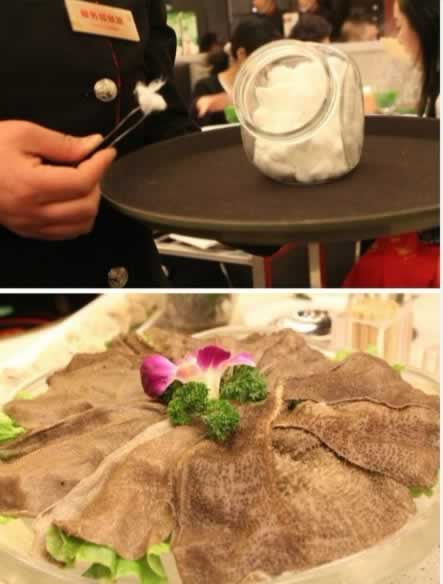 ����ָ�������� �����������