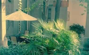 �Ҹ�ůů�Ľ��䷢�� �������������ɻ�԰����