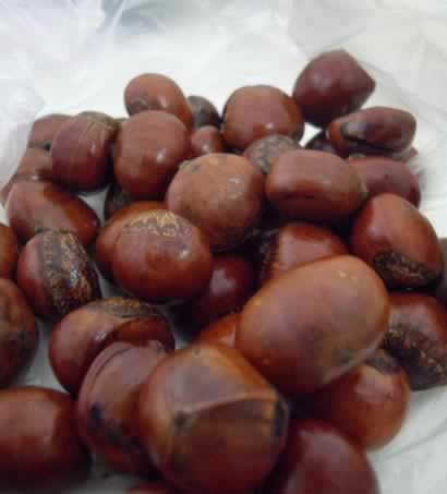 �人����߹���һ����Ե��Ǽ�������Թ�ð��