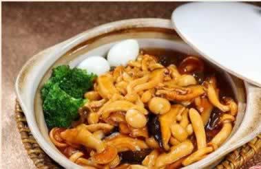 ������ֽ����������OL��ĵͿ������������˵˵��