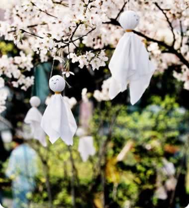 4��2��#�紨ӣ����# ������ʳ�������»