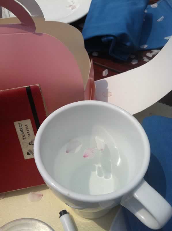 4��2��#�紨ӣ����# ������ʳ�������»