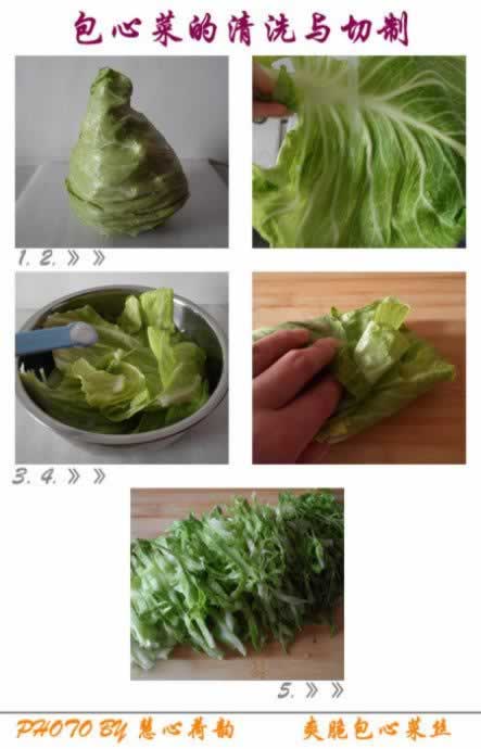 ˬ����Ĳ�˿������