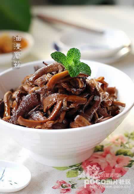 �ͽ�Ģ��������