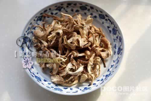 �ͽ�Ģ��������