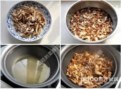 �ͽ�Ģ��������