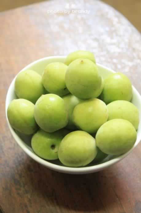 自制青梅酒的做法