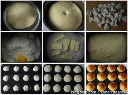 ����Ģ��С���������