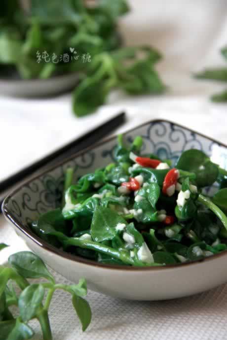 ��ʽ������ɳ��������