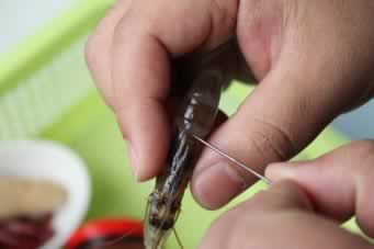 ��������Ϻ������