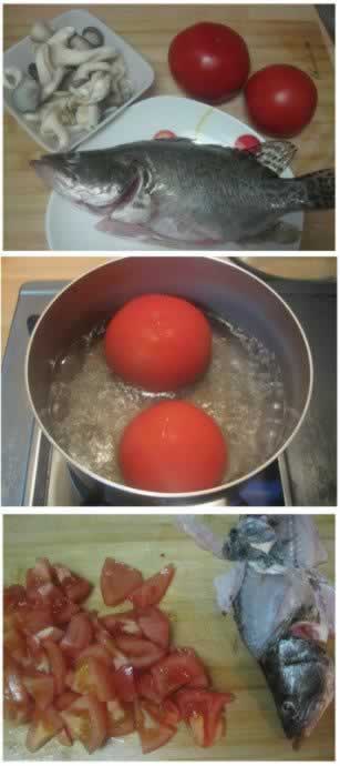 ެ�ѹ���Ũ��������