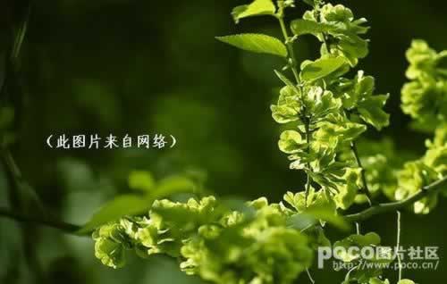 ��Ǯ����������