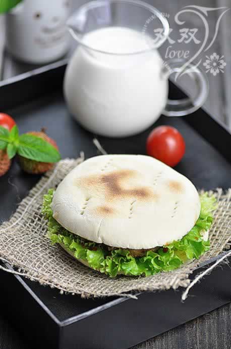 ţ����ʽ����������