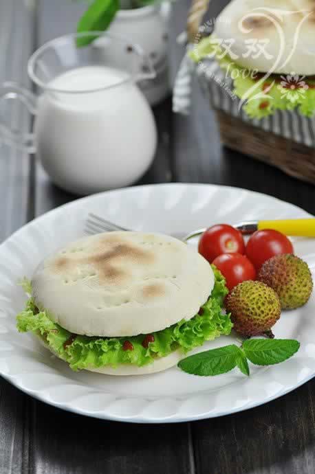 ţ����ʽ����������