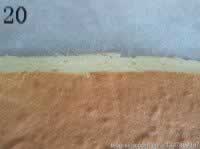 ���Ժ�����������