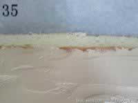 ���Ժ�����������