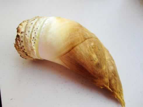 �������˴��������