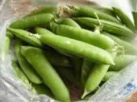 ����С�㶹������