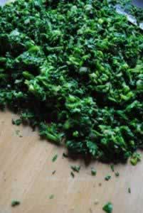 ����˫��ȵ�����