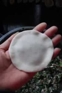 ����˫��ȵ�����