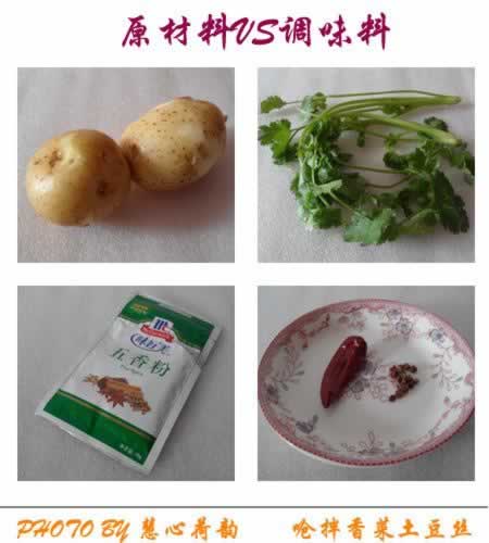 呛拌香菜土豆丝的做法