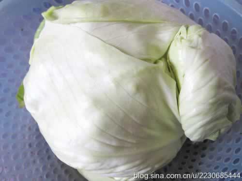 ������˵�����