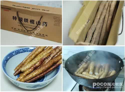 ����ɽҩ������