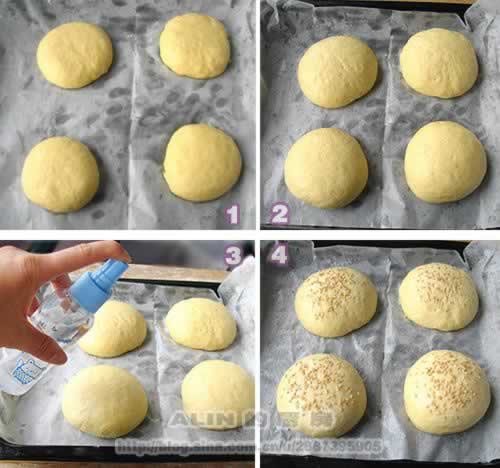 ֥ʿ���ȵ���������