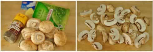 ���Ϳ�Ģ������