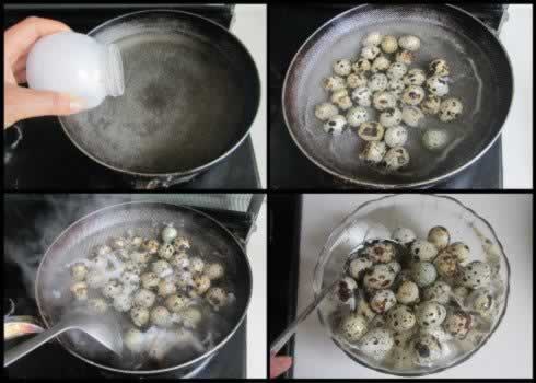 ��޹���ȵ�������