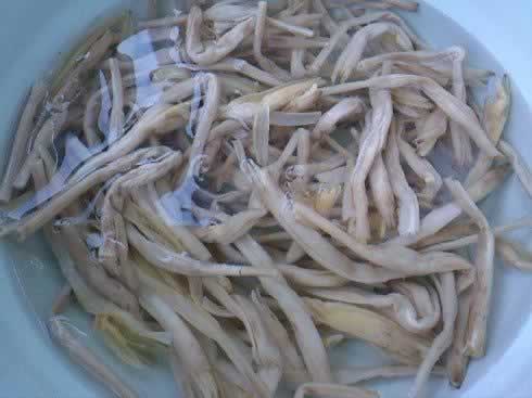 �����������ƻ�������