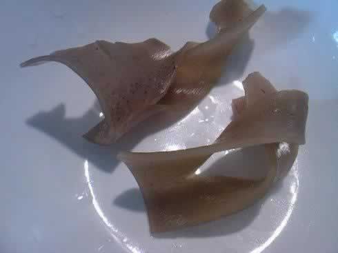 �����������ƻ�������