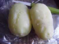 �Ϻ�ɫ��������