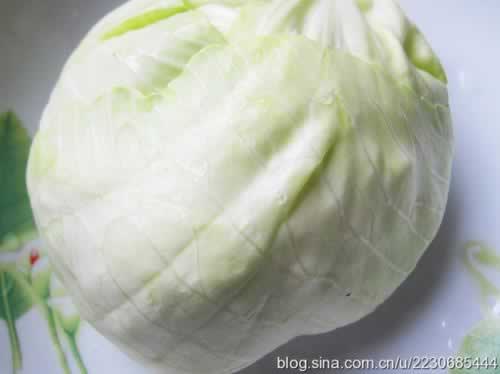 ��������˿������