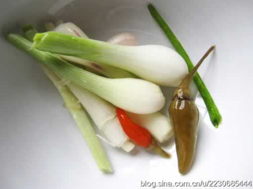 ��������˿������