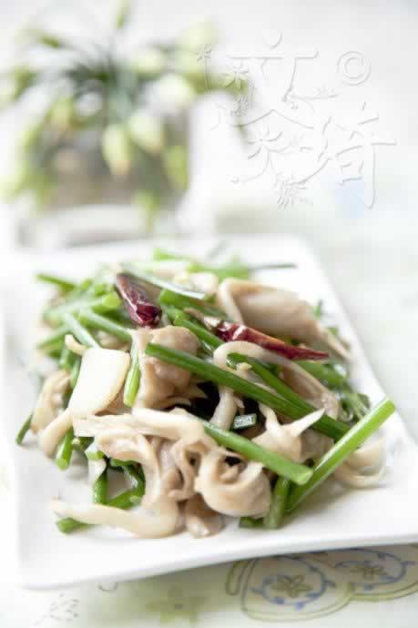 ƽ������̦������