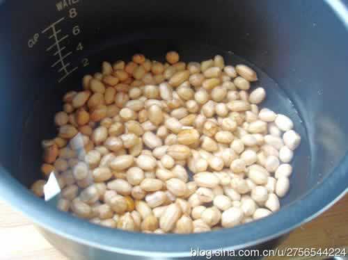 �ݽ������׵�����