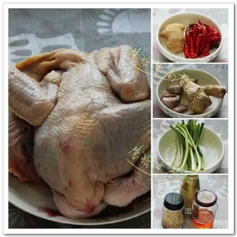 ��Ϳ��������