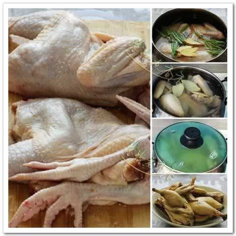 ��Ϳ��������