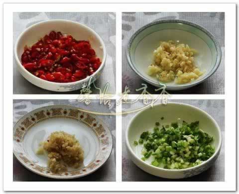 ��Ϳ��������