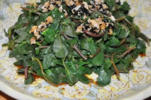 蒜泥马齿苋的做法 蒜泥马齿苋的做法